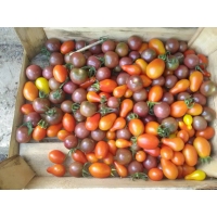 *Rosii Cherry certificate eco 'Legume de tara' - cutie 250GR - S2-2025