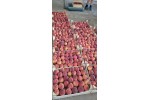 Piersici  eco românești, 1 kg  - - incepand de miercuri