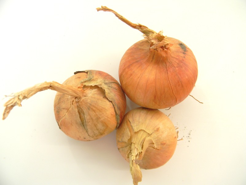 CEAPA GALBENA certificata ecologi cca 500 gr , Olanda