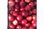 Nectarine Livada Domnitei 500 gr ( convetionale) 