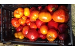 Mix rosii certificate eco Legume de tara - 1 kg 