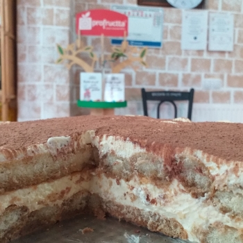 Tiramisu - 1kg